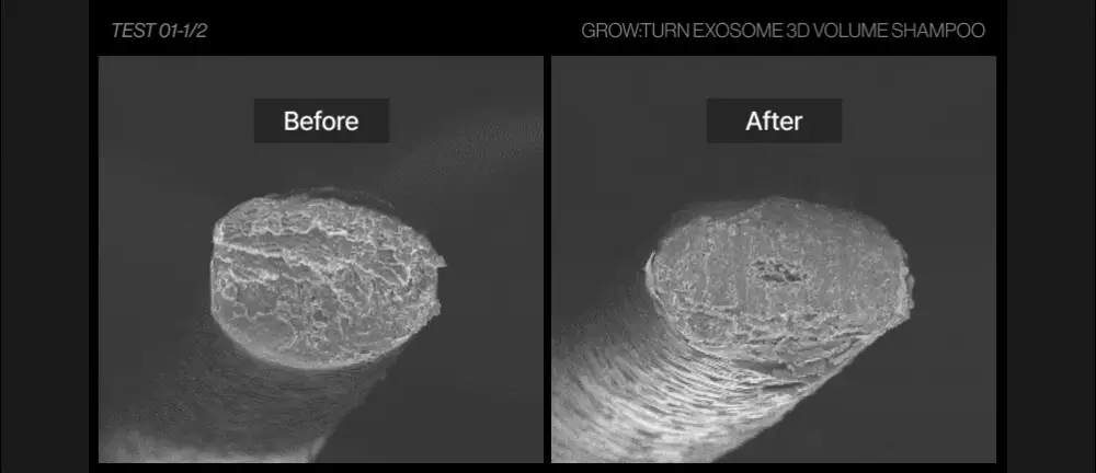 [포켓몬 에디션][50시간볼륨지속]] 릴리이브 그로우턴 3D 볼륨 샴푸 대용량 500ml (단품/기획*) 상세페이지 19